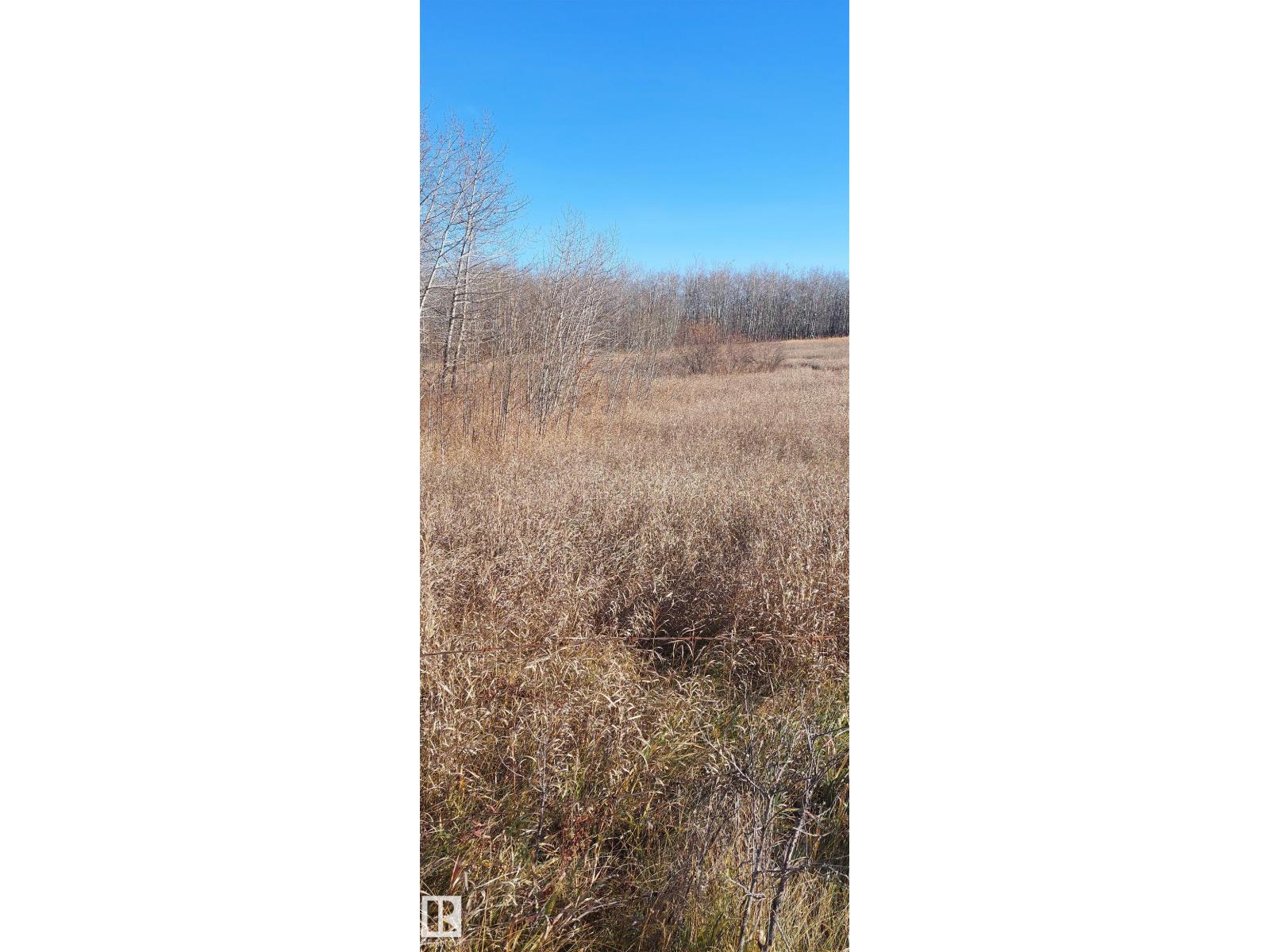 40 23429 584 Twp Rd, Rural Westlock County, Alberta  T0G 1L0 - Photo 4 - E4463340