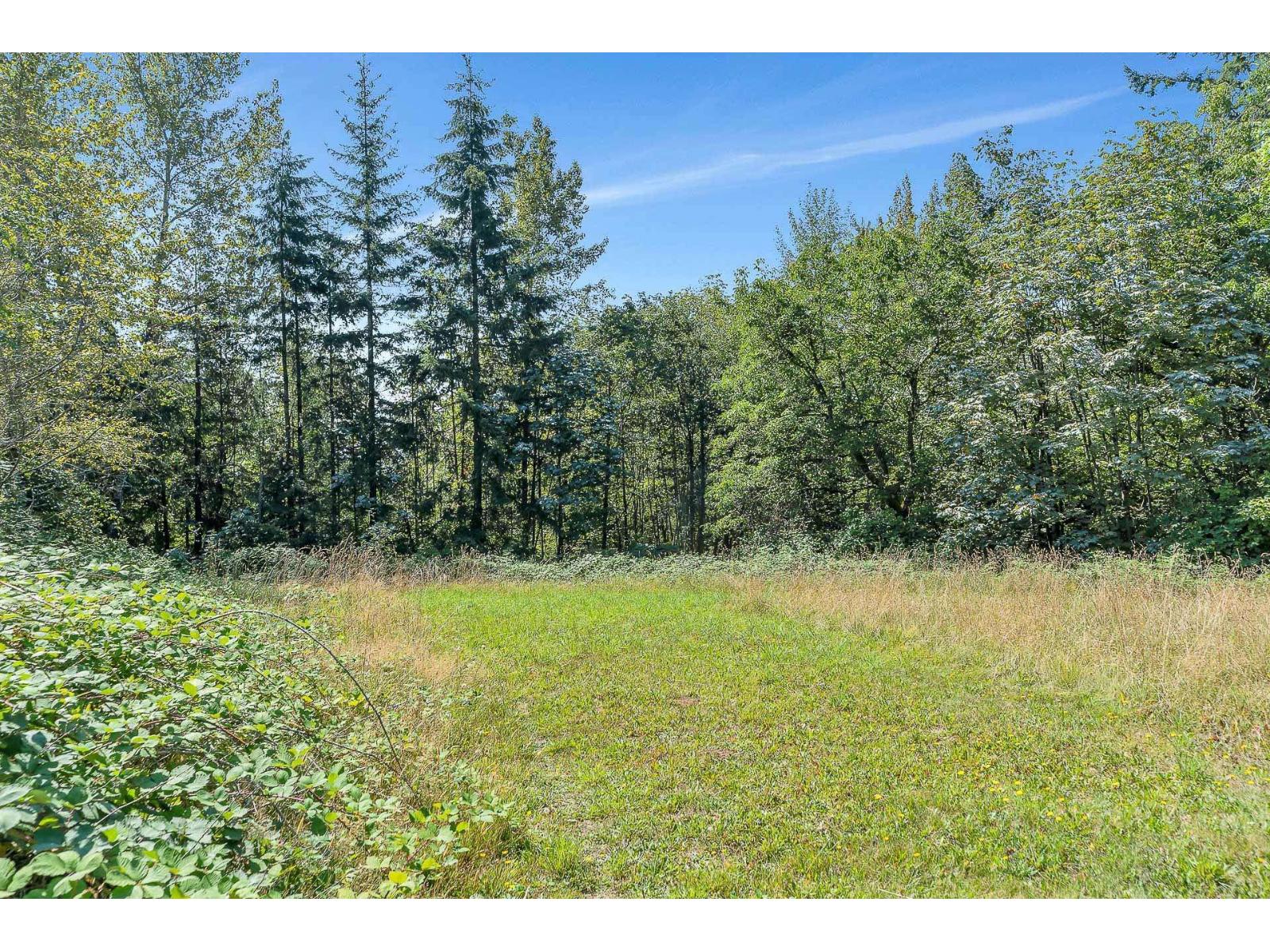 8850 Foulds Street, Mission, British Columbia  V4S 1E8 - Photo 24 - R3061337