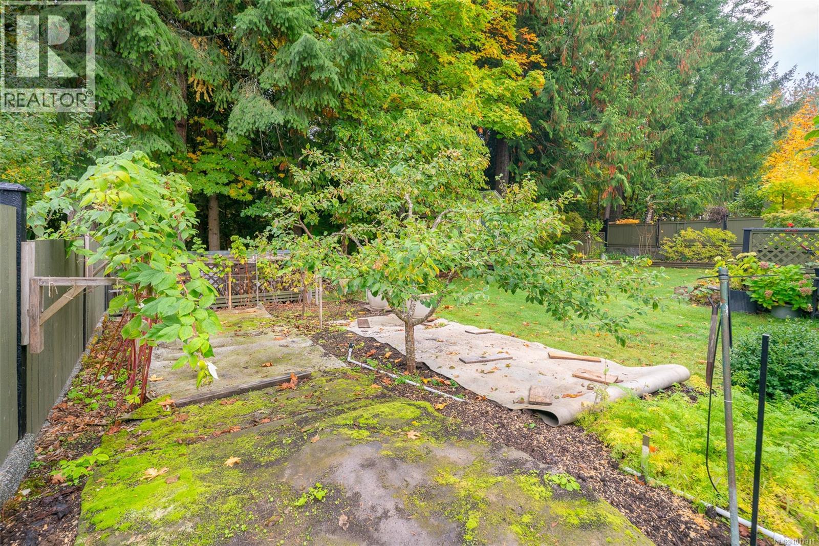 1127 Carey Pl, Ladysmith, British Columbia  V9G 1P9 - Photo 46 - 1017911