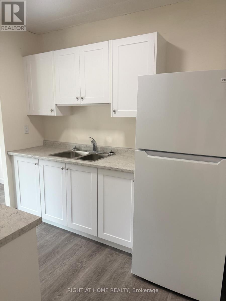 207 - 555 Oxford Street, Oshawa (Vanier), Ontario  L1J 3V5 - Photo 4 - E12480382