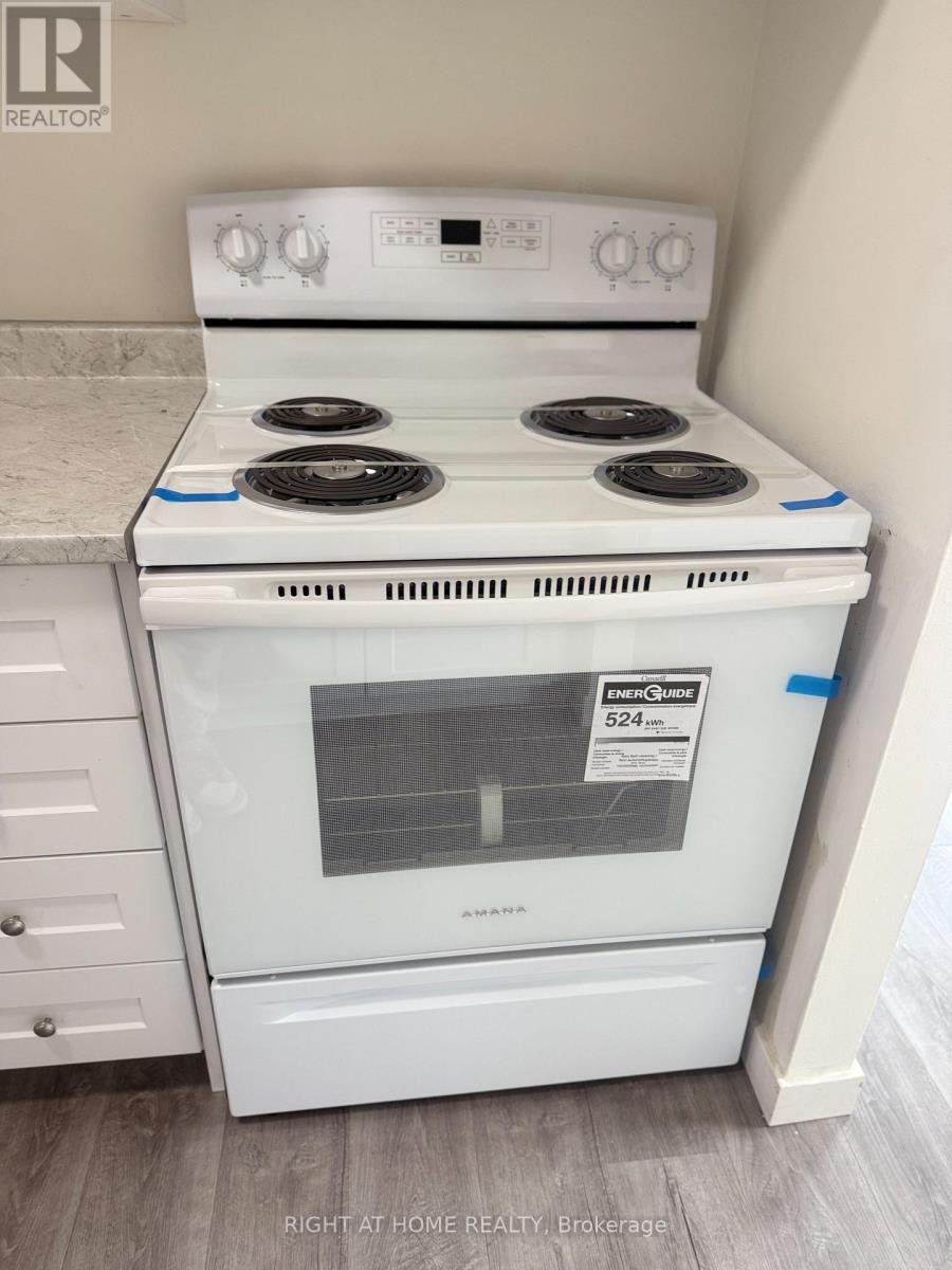 207 - 555 Oxford Street, Oshawa (Vanier), Ontario  L1J 3V5 - Photo 8 - E12480382