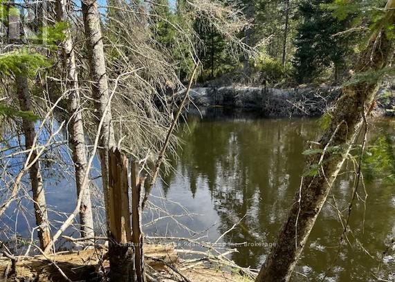 0 COUNTY ROAD 503, Minden Hills, Ontario