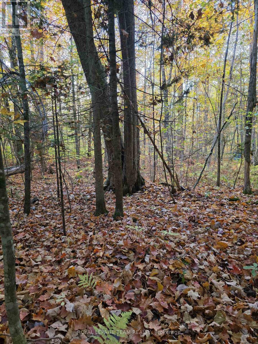 000 Dukelow Road, Edwardsburgh/cardinal, Ontario  K0E 1X0 - Photo 19 - X12373243