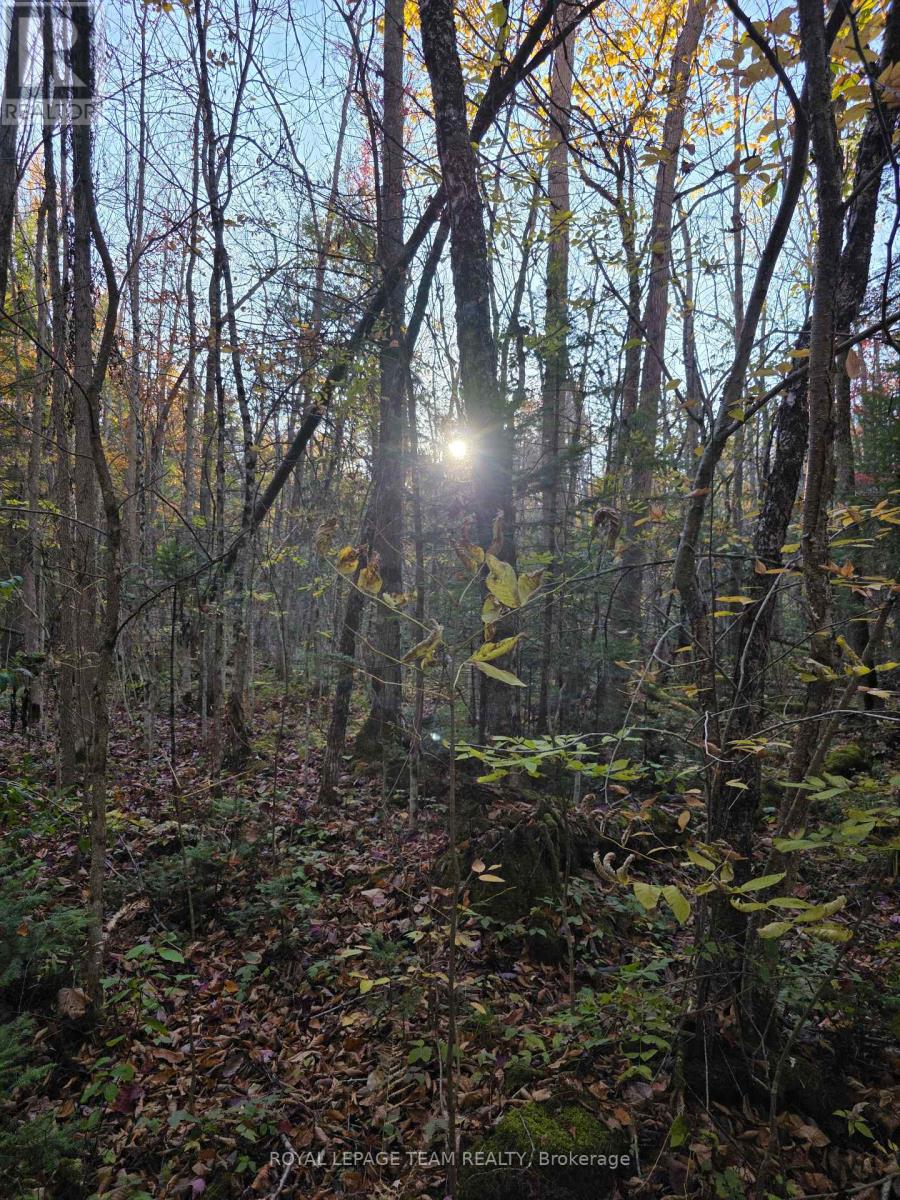 000 Dukelow Road, Edwardsburgh/cardinal, Ontario  K0E 1X0 - Photo 21 - X12373243