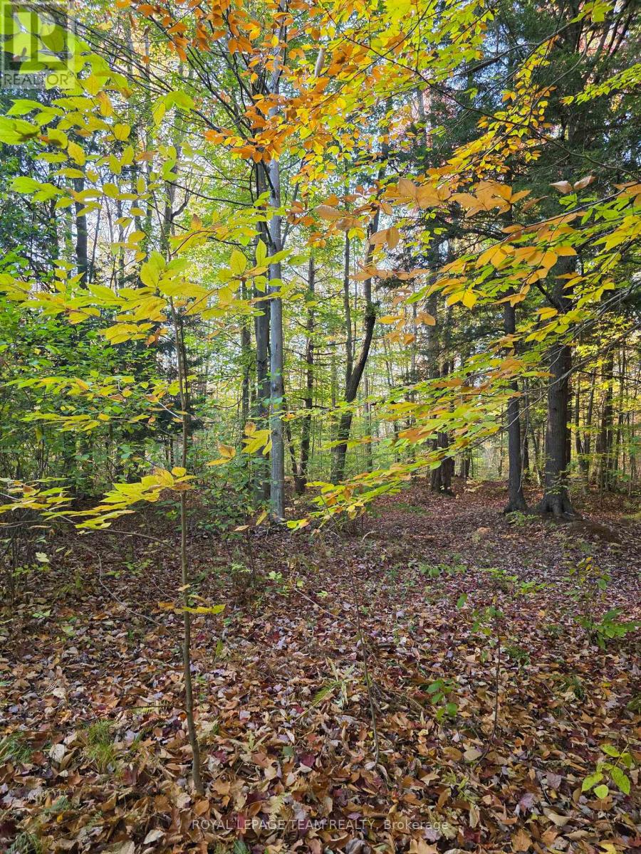 000 Dukelow Road, Edwardsburgh/cardinal, Ontario  K0E 1X0 - Photo 20 - X12373243