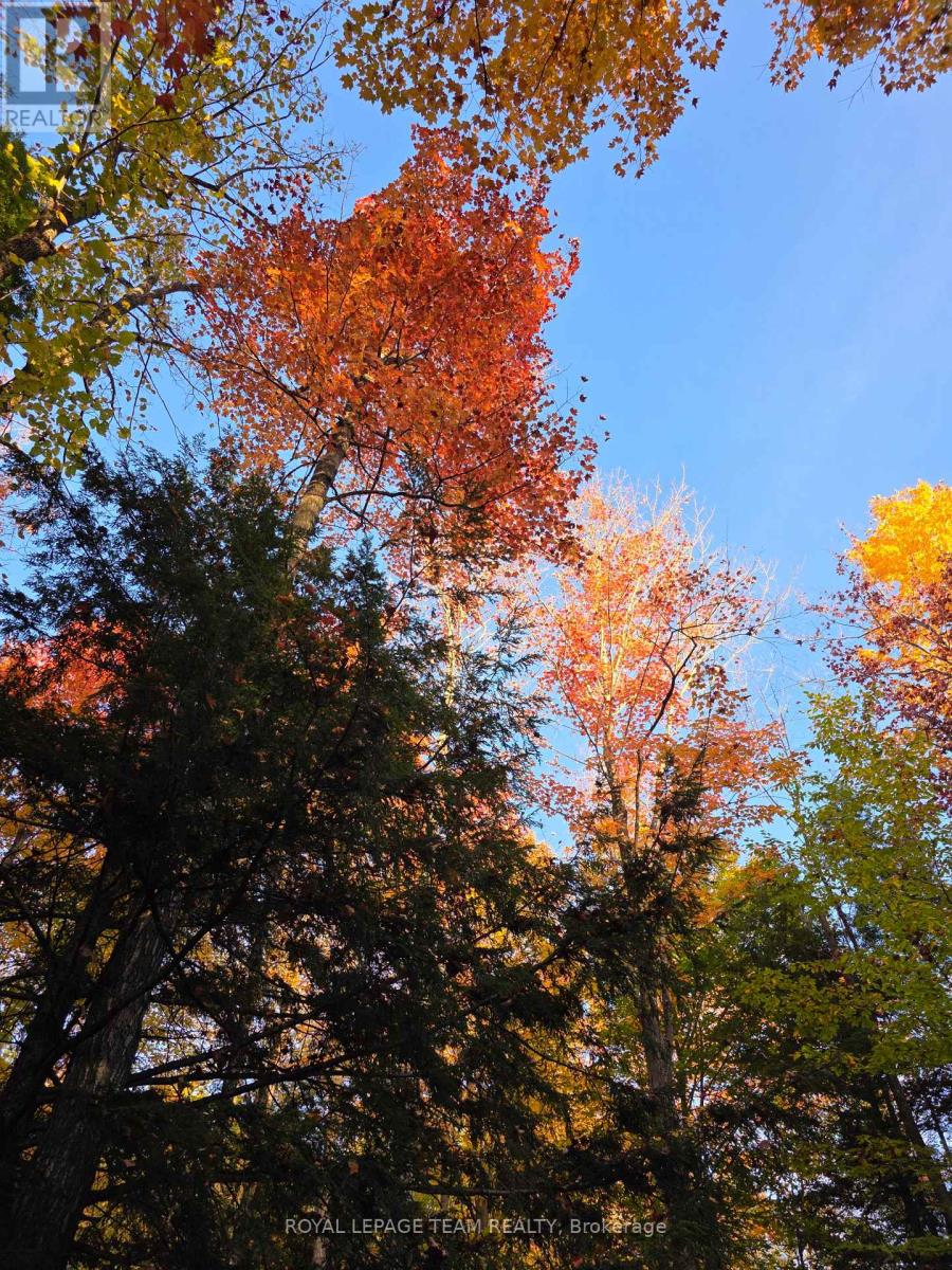 000 Dukelow Road, Edwardsburgh/cardinal, Ontario  K0E 1X0 - Photo 22 - X12373243