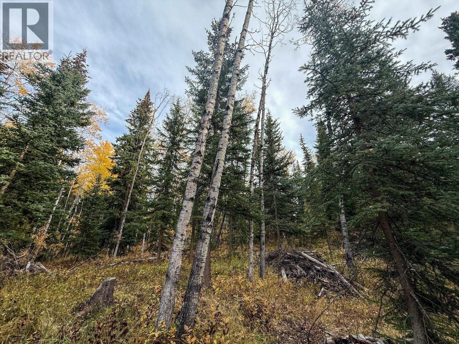 6340 Wolfe Road, Horse Lake, British Columbia  V0K 2E3 - Photo 30 - R3059589