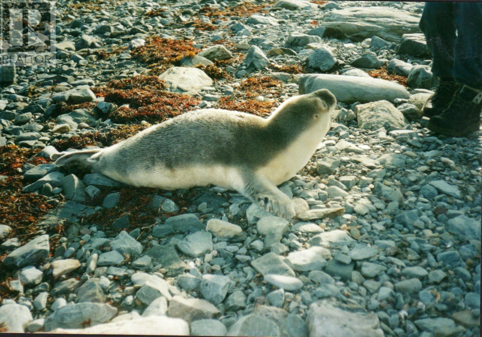 Hartlings Island, Ecum Secum, Nova Scotia  B0J 2K0 - Photo 14 - 202509687