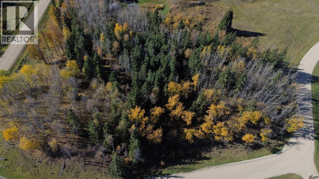 4, 15015 Township Road 424 Township, Rural Ponoka County, Alberta  T0B 0H0 - Photo 8 - A2266520