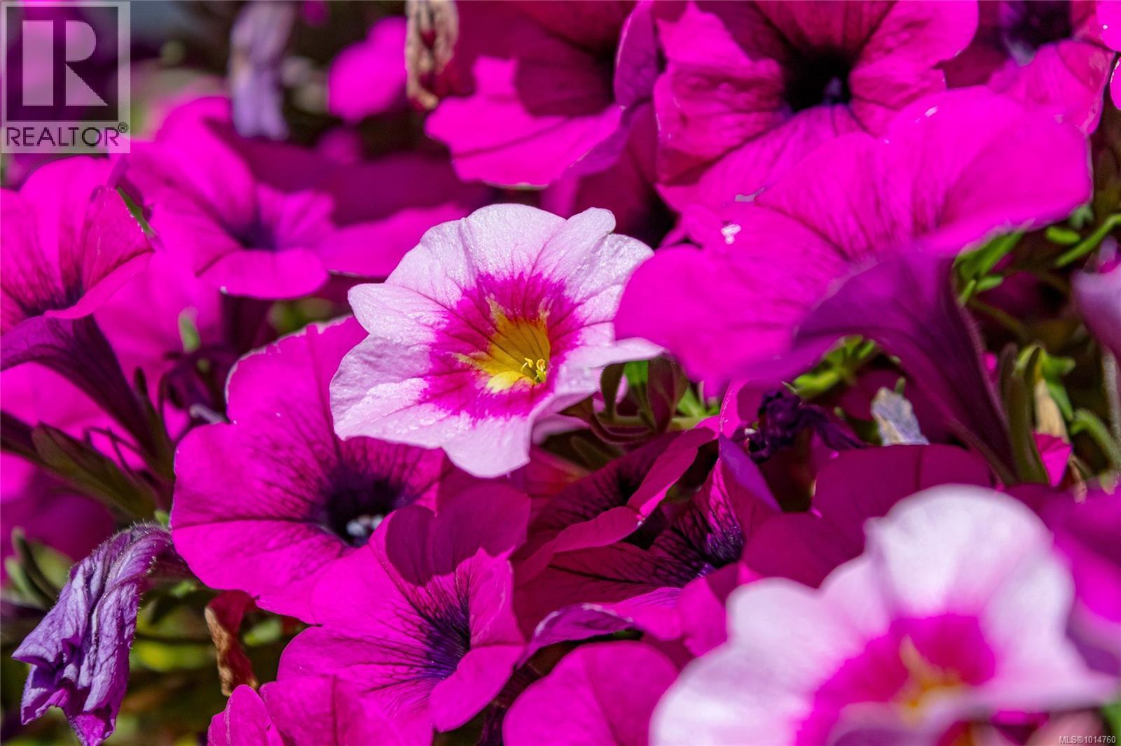 14 100 Abbey Lane, Parksville, British Columbia V9P 1N4 - Photo 40 - 1014760