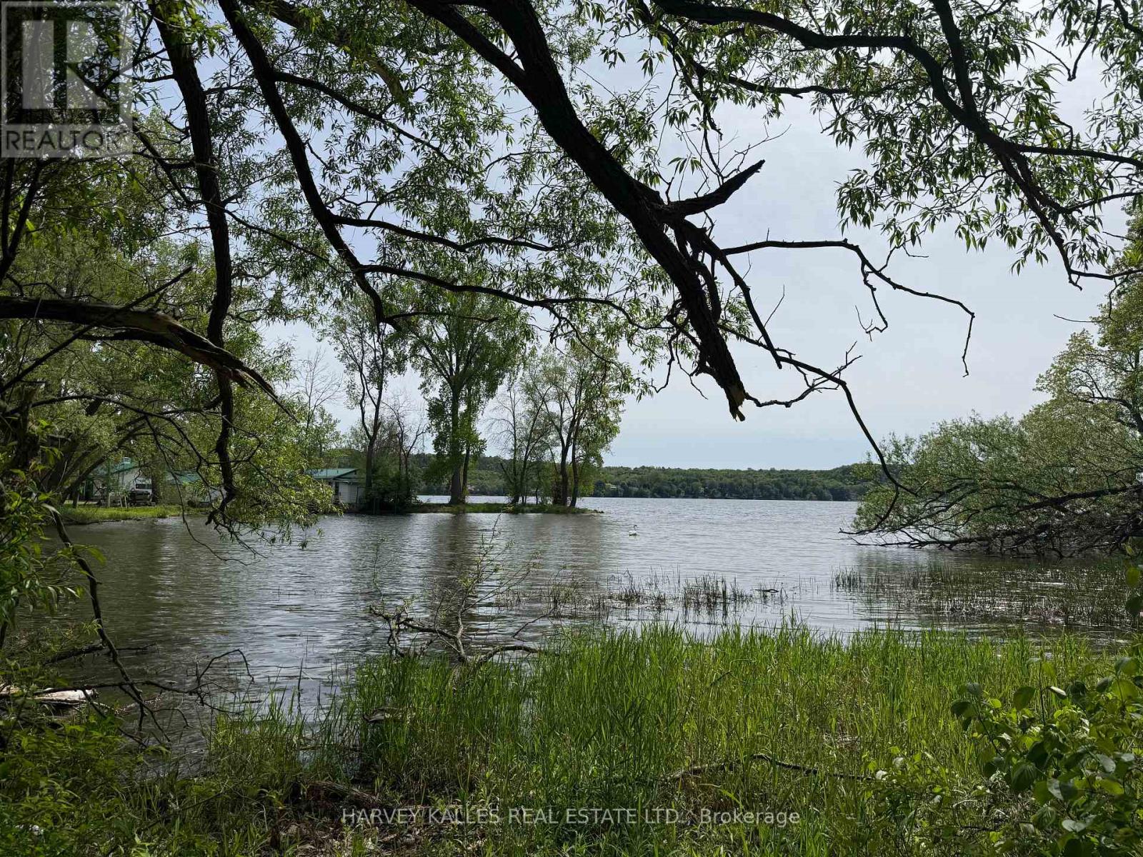 0 Oakwood Lane, Greater Napanee, Ontario K0H 1G0 - Photo 11 - X12480790