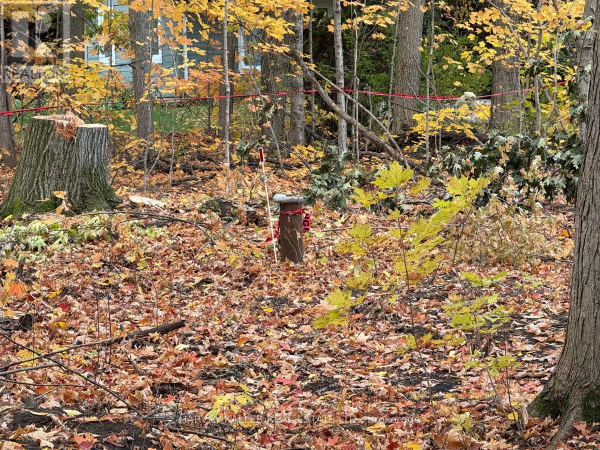 0 Oakwood Lane, Greater Napanee, Ontario K0H 1G0 - Photo 12 - X12480790