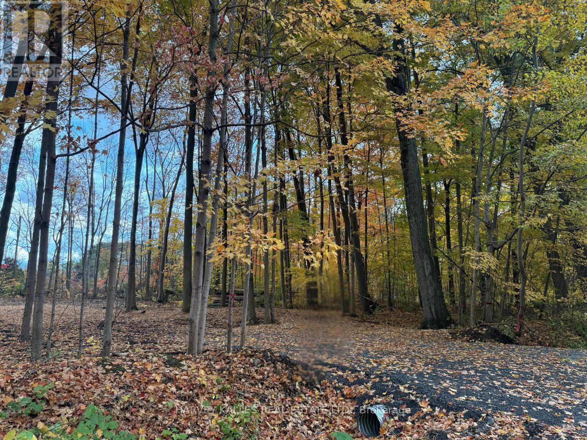 0 Oakwood Lane, Greater Napanee, Ontario K0H 1G0 - Photo 4 - X12480790