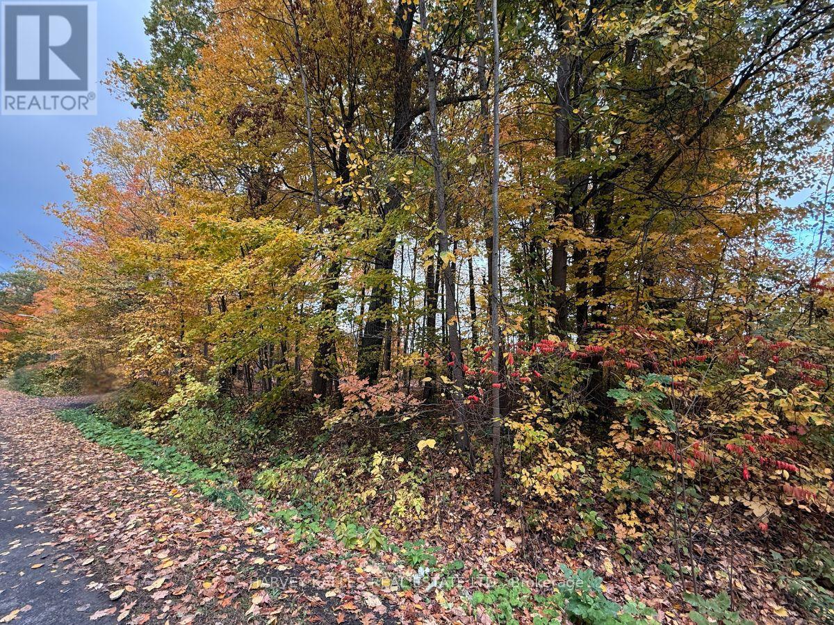 0 Oakwood Lane, Greater Napanee, Ontario K0H 1G0 - Photo 5 - X12480790