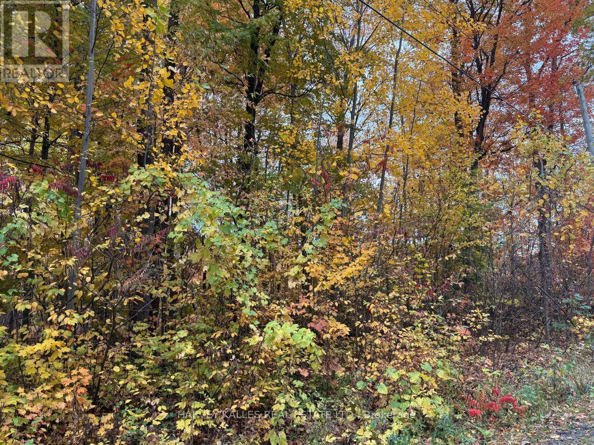 0 Oakwood Lane, Greater Napanee, Ontario K0H 1G0 - Photo 6 - X12480790