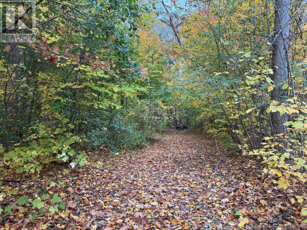 0 Oakwood Lane, Greater Napanee, Ontario K0H 1G0 - Photo 7 - X12480790