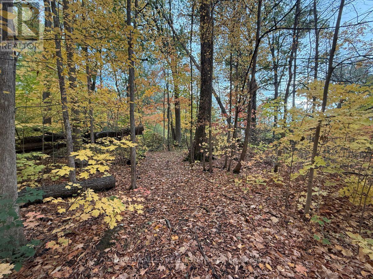 0 Oakwood Lane, Greater Napanee, Ontario K0H 1G0 - Photo 8 - X12480790