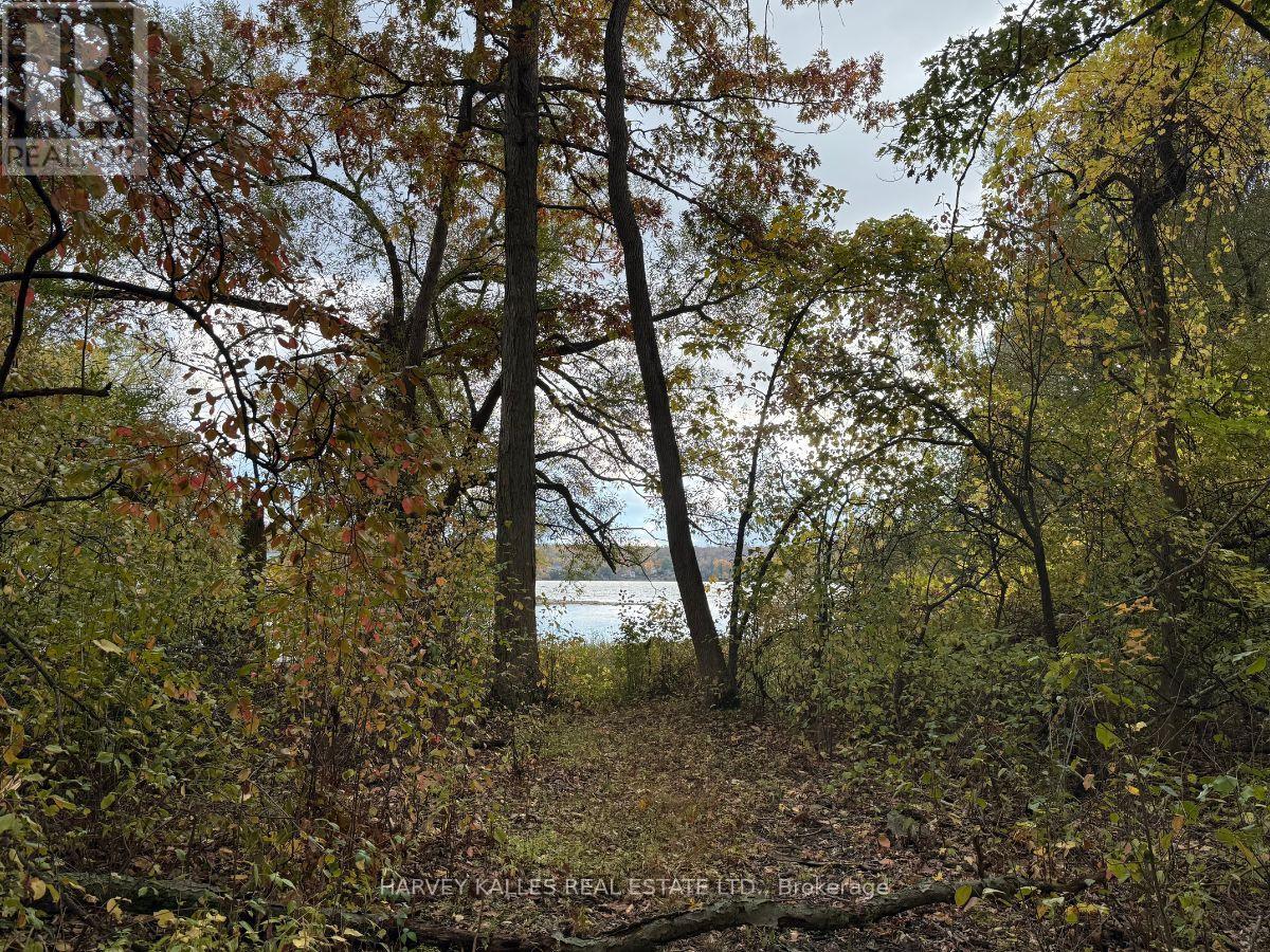 0 Oakwood Lane, Greater Napanee, Ontario K0H 1G0 - Photo 9 - X12480790