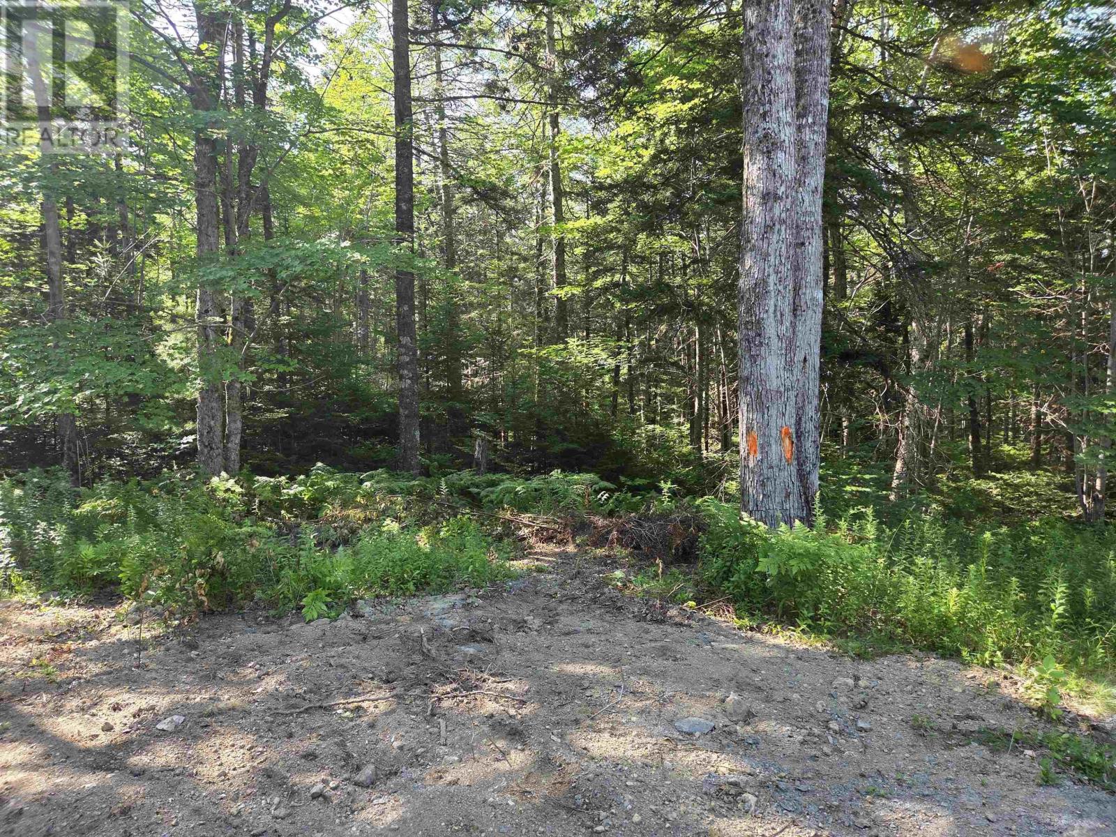 48 Lake Mulgrave Road, Victory, Nova Scotia  B0S 1B0 - Photo 7 - 202518975