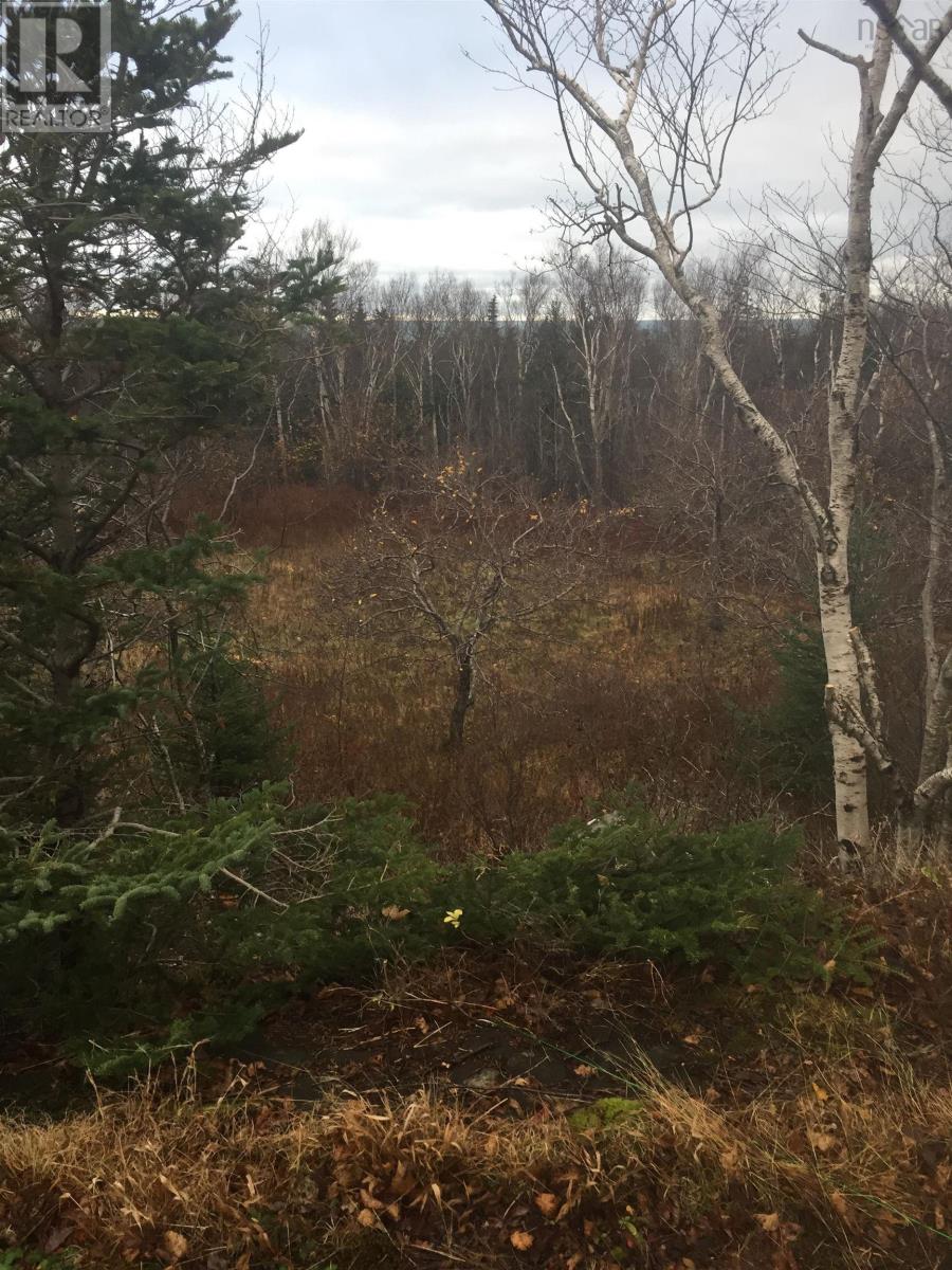 1762 Culloden Road, Culloden, Nova Scotia  B0V 1A0 - Photo 12 - 202524813