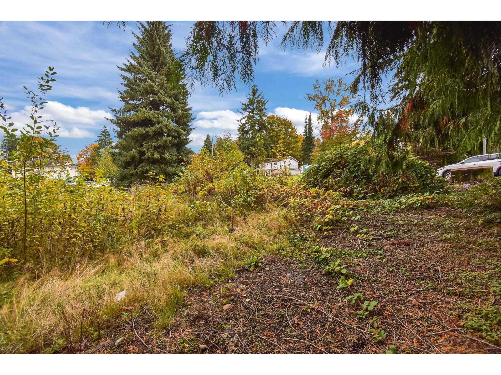 14409 115 Avenue, Surrey, British Columbia  V3R 5Y2 - Photo 4 - R3053543