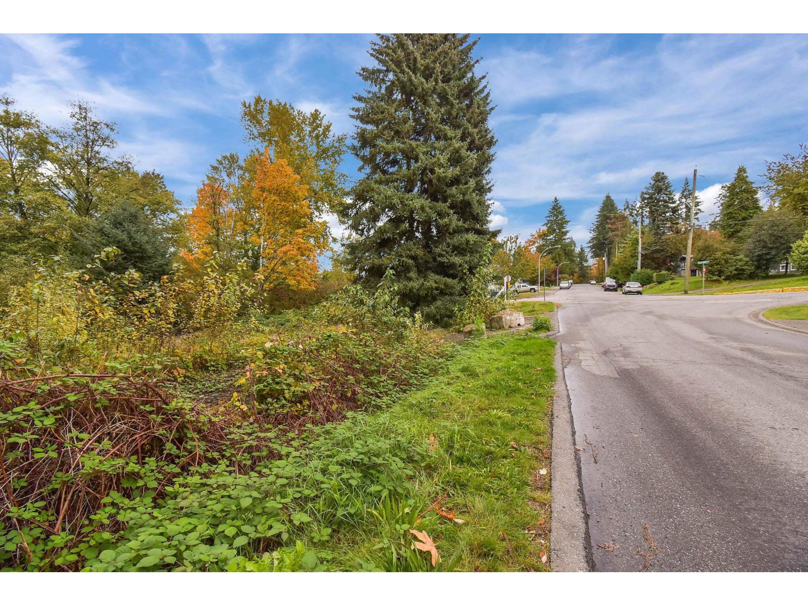 14409 115 Avenue, Surrey, British Columbia  V3R 5Y2 - Photo 5 - R3053543