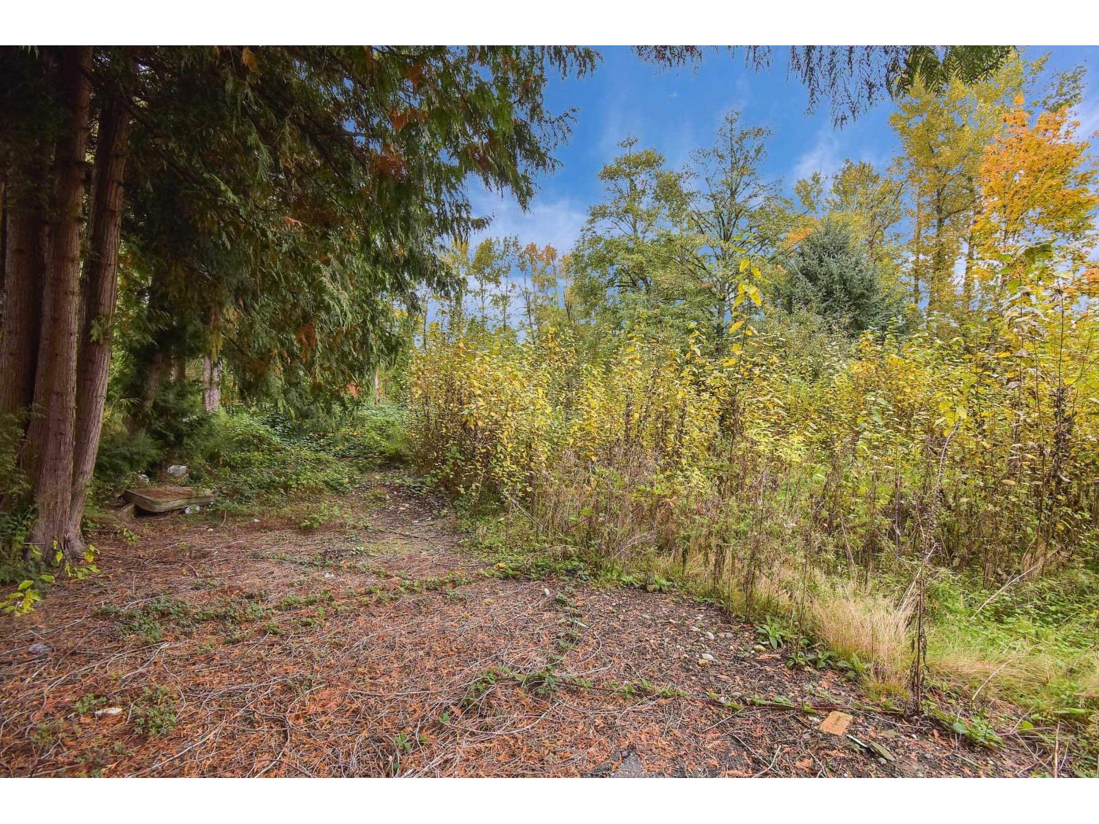 14409 115 Avenue, Surrey, British Columbia  V3R 5Y2 - Photo 3 - R3053543