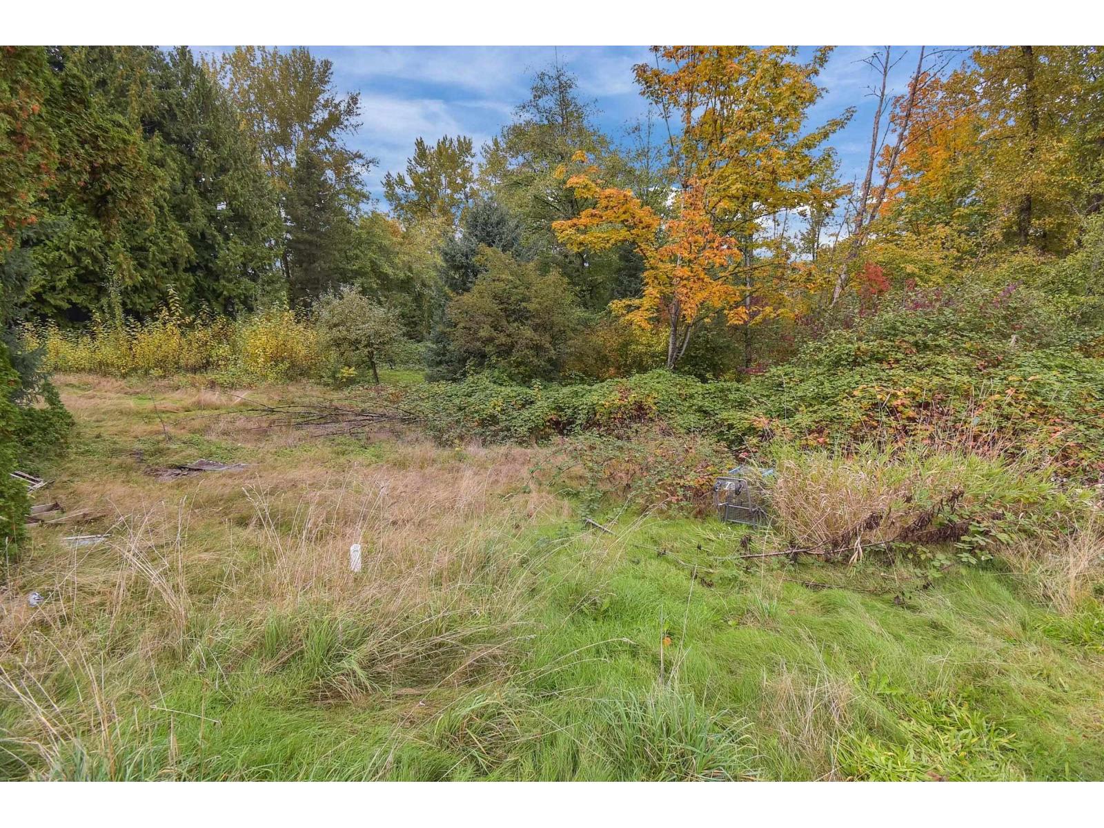 14409 115 Avenue, Surrey, British Columbia  V3R 5Y2 - Photo 7 - R3053543