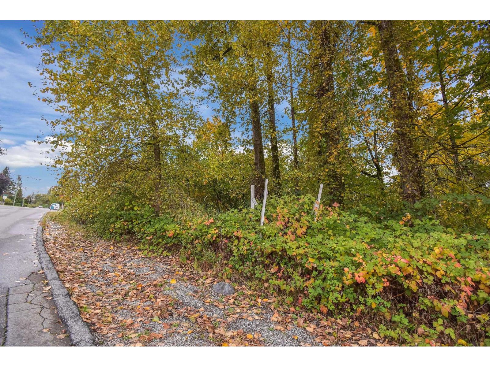 14409 115 Avenue, Surrey, British Columbia  V3R 5Y2 - Photo 8 - R3053543