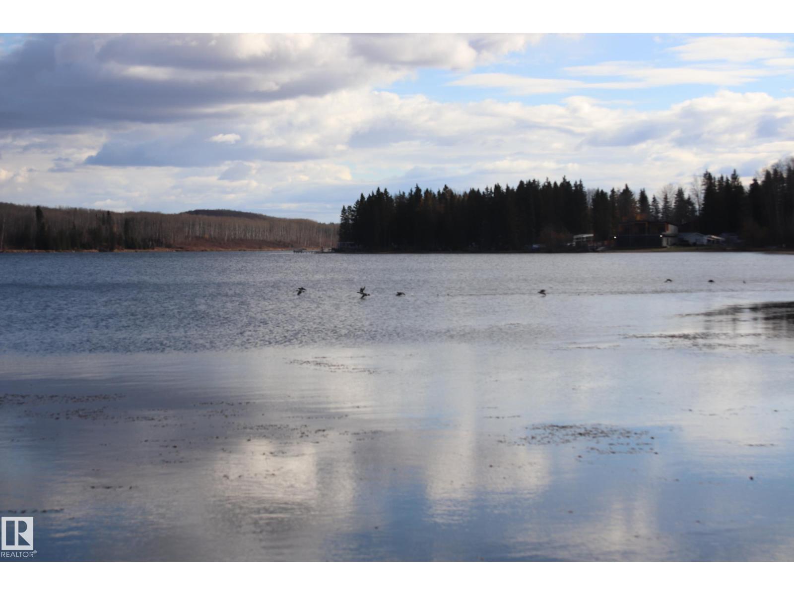 603 Long Lake Dr., Long Lake, Alberta  T6A 0M0 - Photo 37 - E4463380