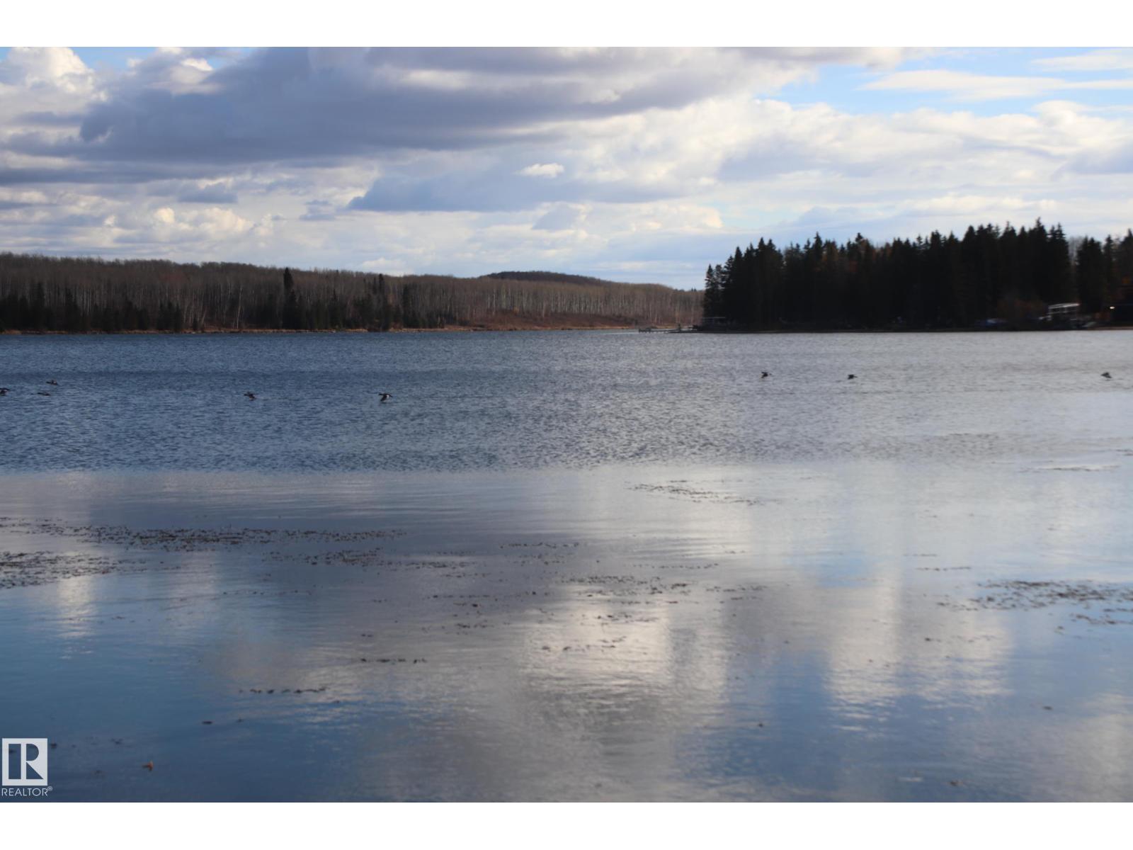 603 Long Lake Dr., Long Lake, Alberta  T6A 0M0 - Photo 38 - E4463380