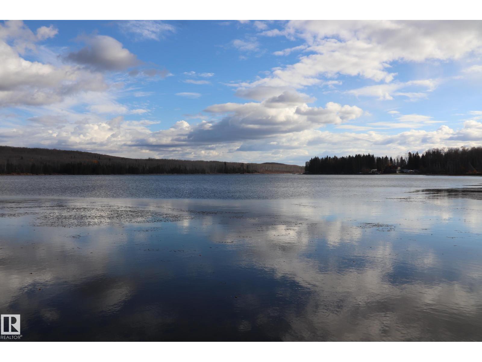 603 Long Lake Dr., Long Lake, Alberta  T6A 0M0 - Photo 39 - E4463380