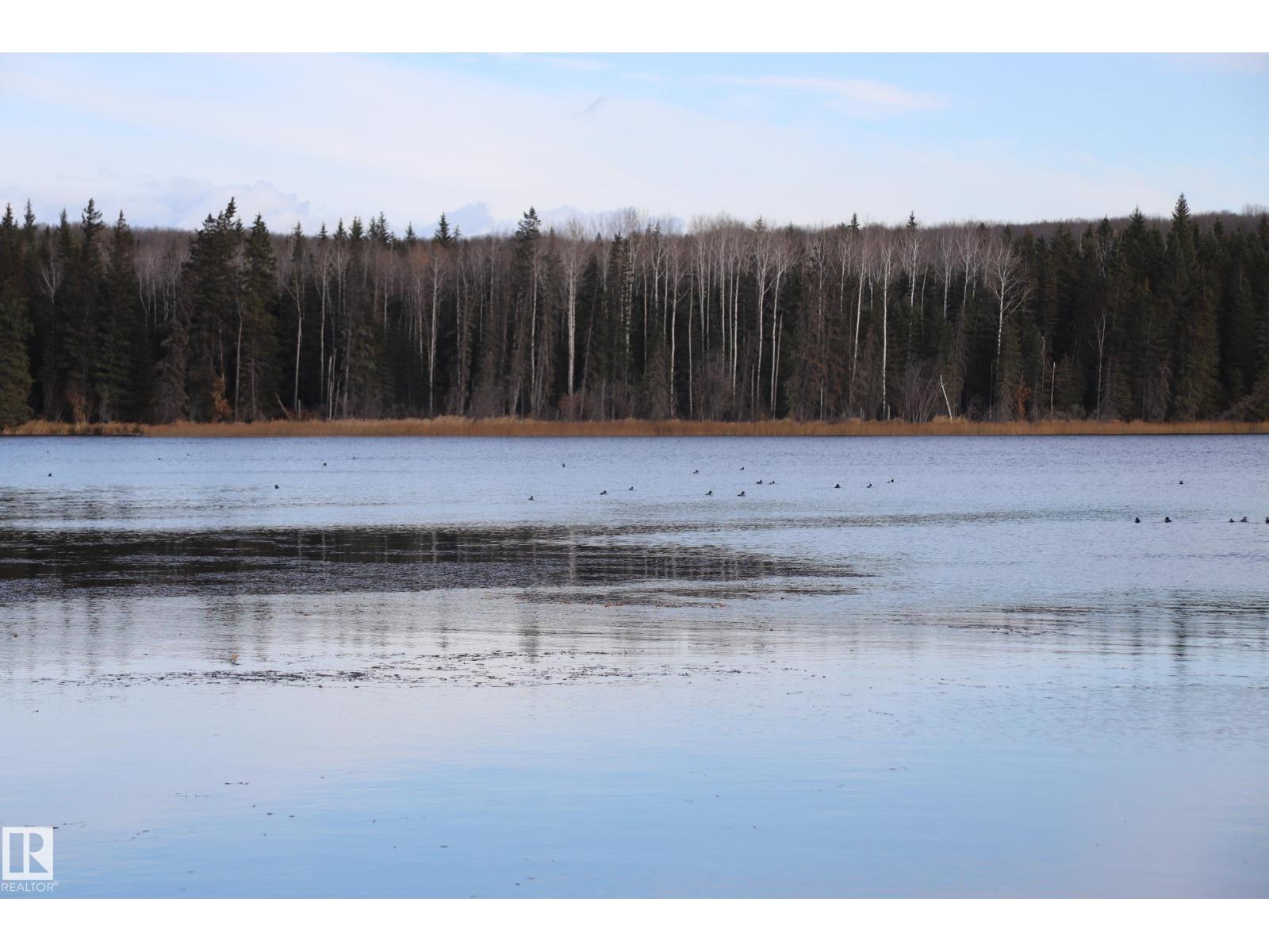 603 Long Lake Dr., Long Lake, Alberta  T6A 0M0 - Photo 42 - E4463380