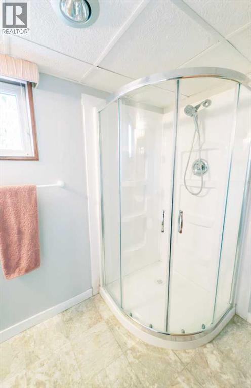 221 4th Avenue S, Big Valley, Alberta  T0J 0G0 - Photo 32 - A2266174