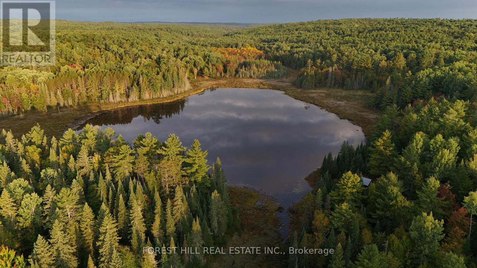 675 Dore Bay Road, North Algona Wilberforce, Ontario  K8A 6W5 - Photo 10 - X12480722