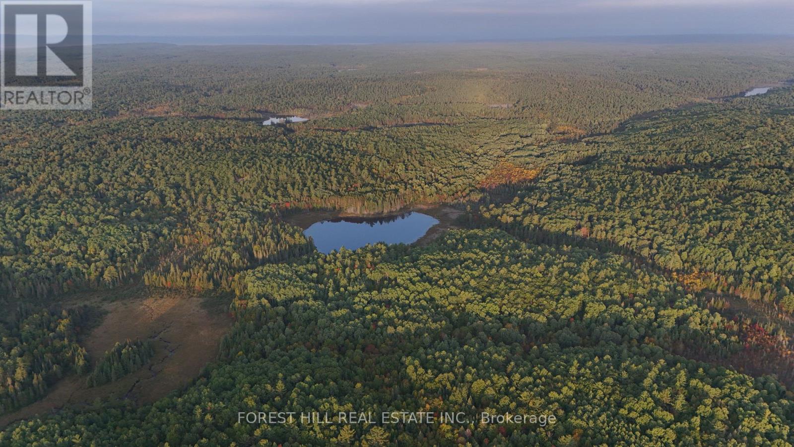 675 Dore Bay Road, North Algona Wilberforce, Ontario  K8A 6W5 - Photo 11 - X12480722