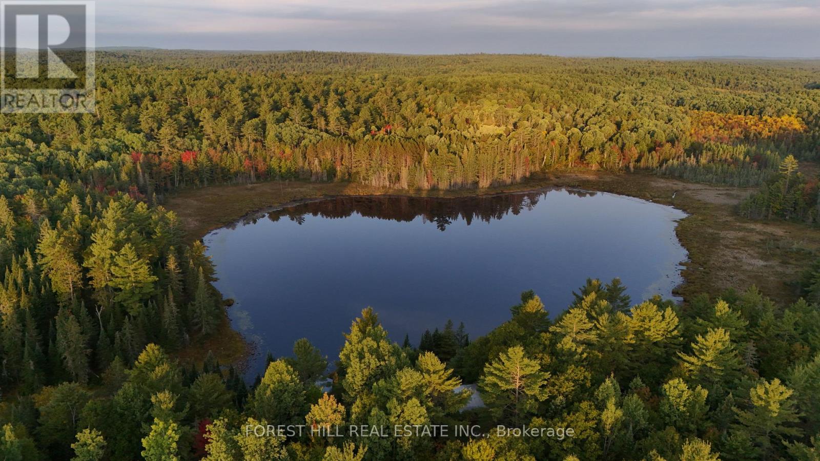 675 Dore Bay Road, North Algona Wilberforce, Ontario  K8A 6W5 - Photo 12 - X12480722