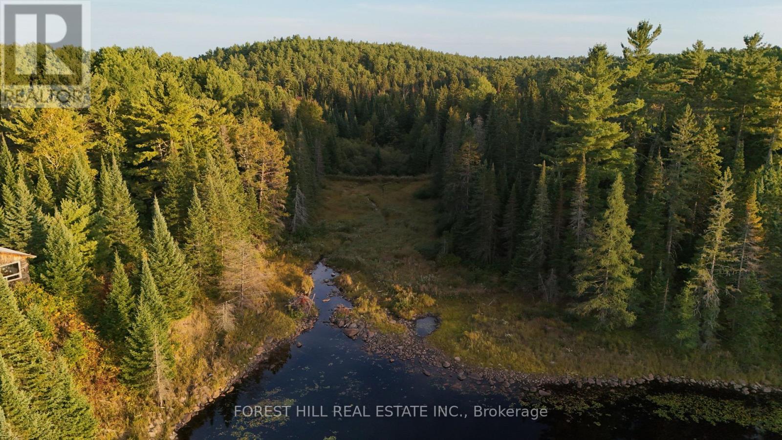675 Dore Bay Road, North Algona Wilberforce, Ontario  K8A 6W5 - Photo 13 - X12480722