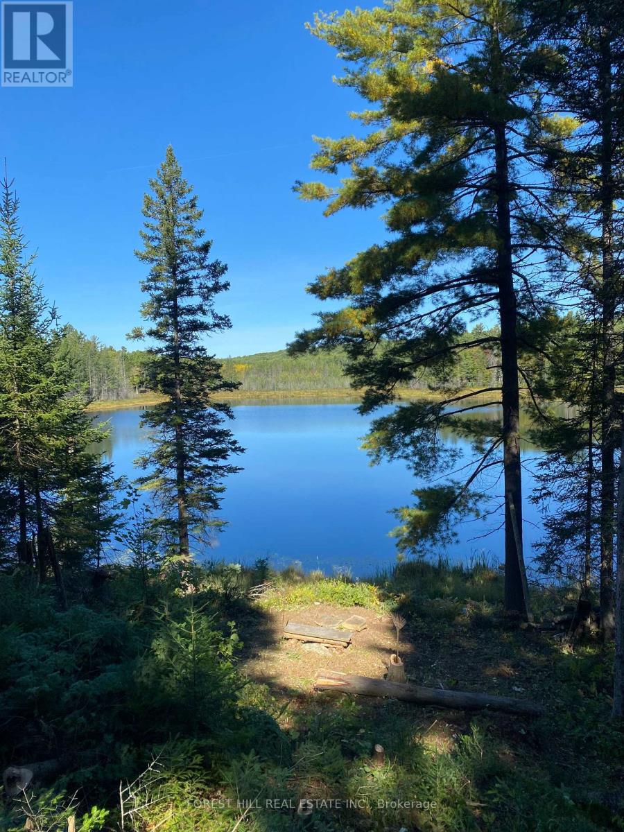 675 Dore Bay Road, North Algona Wilberforce, Ontario  K8A 6W5 - Photo 26 - X12480722
