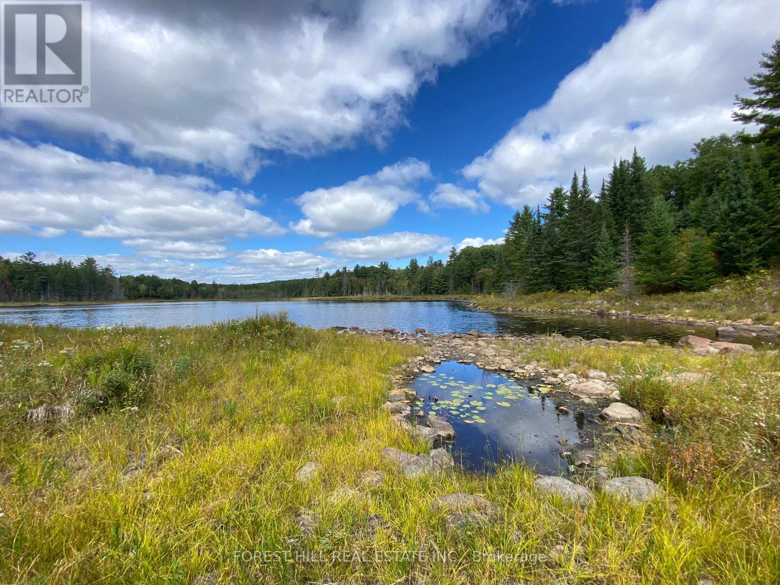 675 Dore Bay Road, North Algona Wilberforce, Ontario  K8A 6W5 - Photo 27 - X12480722
