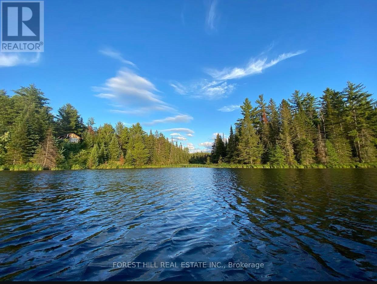 675 Dore Bay Road, North Algona Wilberforce, Ontario  K8A 6W5 - Photo 28 - X12480722