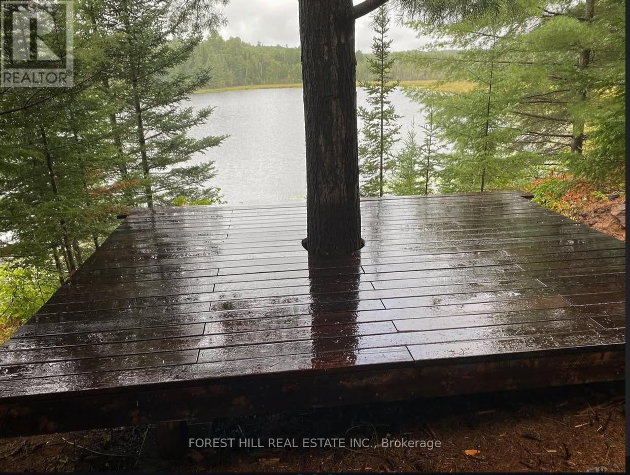 675 Dore Bay Road, North Algona Wilberforce, Ontario  K8A 6W5 - Photo 31 - X12480722