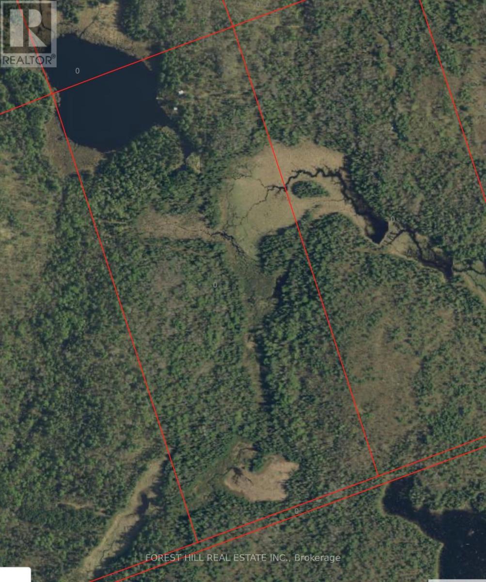 675 Dore Bay Road, North Algona Wilberforce, Ontario  K8A 6W5 - Photo 35 - X12480722