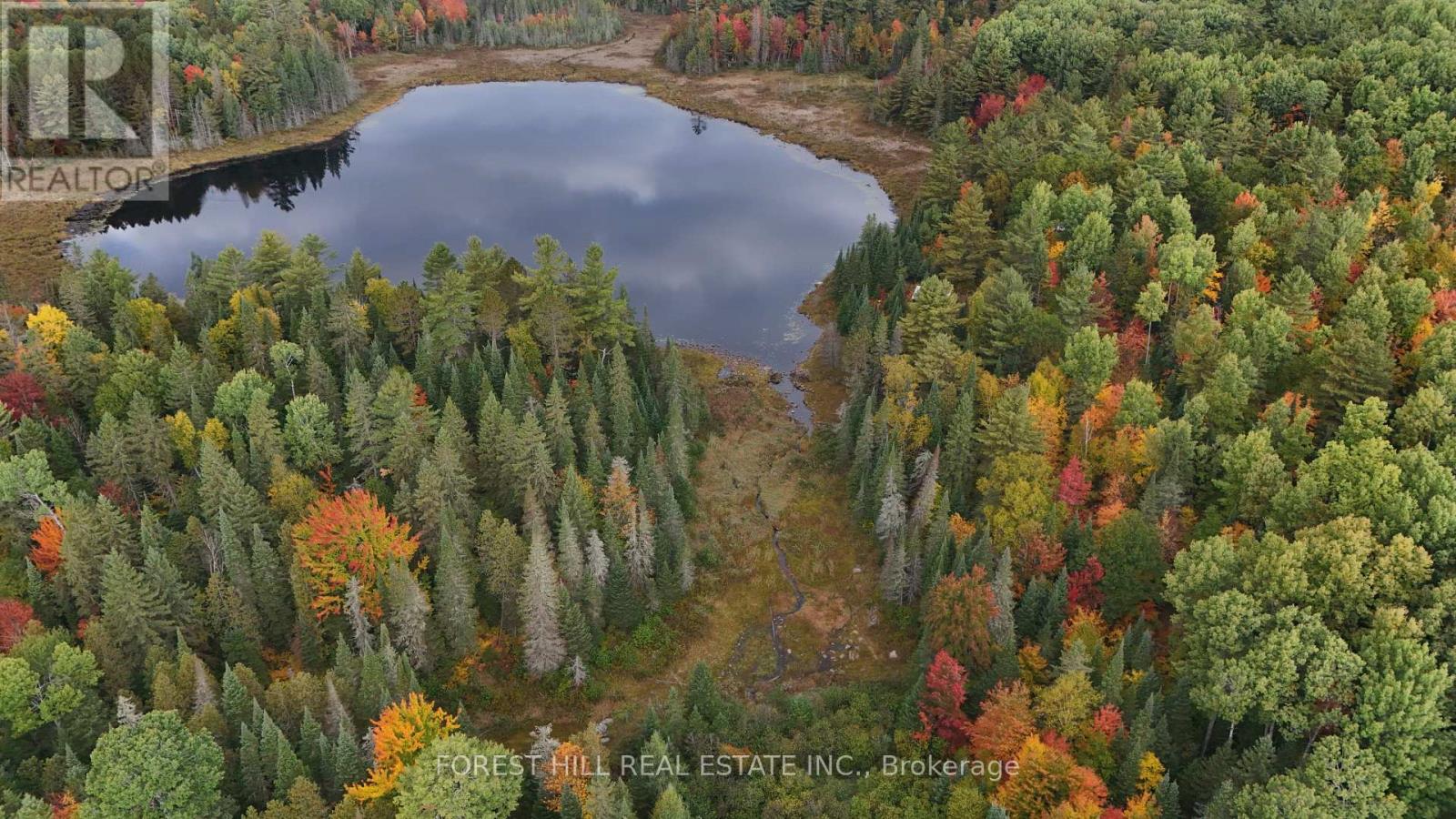 675 Dore Bay Road, North Algona Wilberforce, Ontario  K8A 6W5 - Photo 6 - X12480722