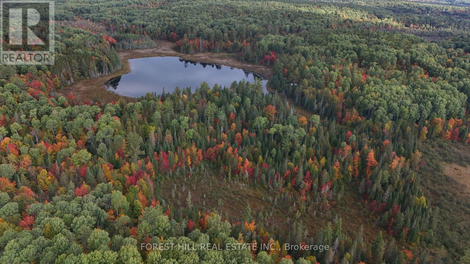 675 Dore Bay Road, North Algona Wilberforce, Ontario  K8A 6W5 - Photo 7 - X12480722