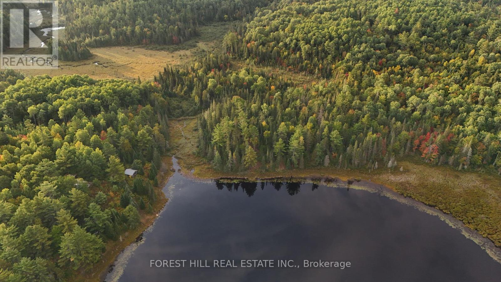 675 Dore Bay Road, North Algona Wilberforce, Ontario  K8A 6W5 - Photo 8 - X12480722