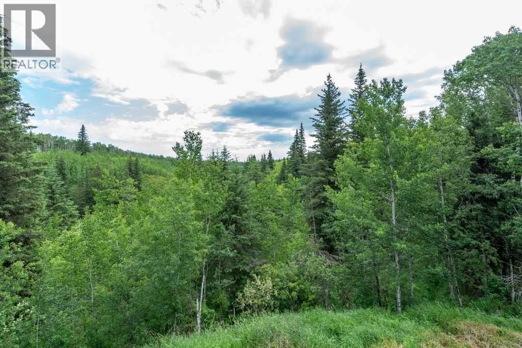 62407 Range Road 431, Ardmore, Alberta  T9M 1P3 - Photo 48 - A2213642