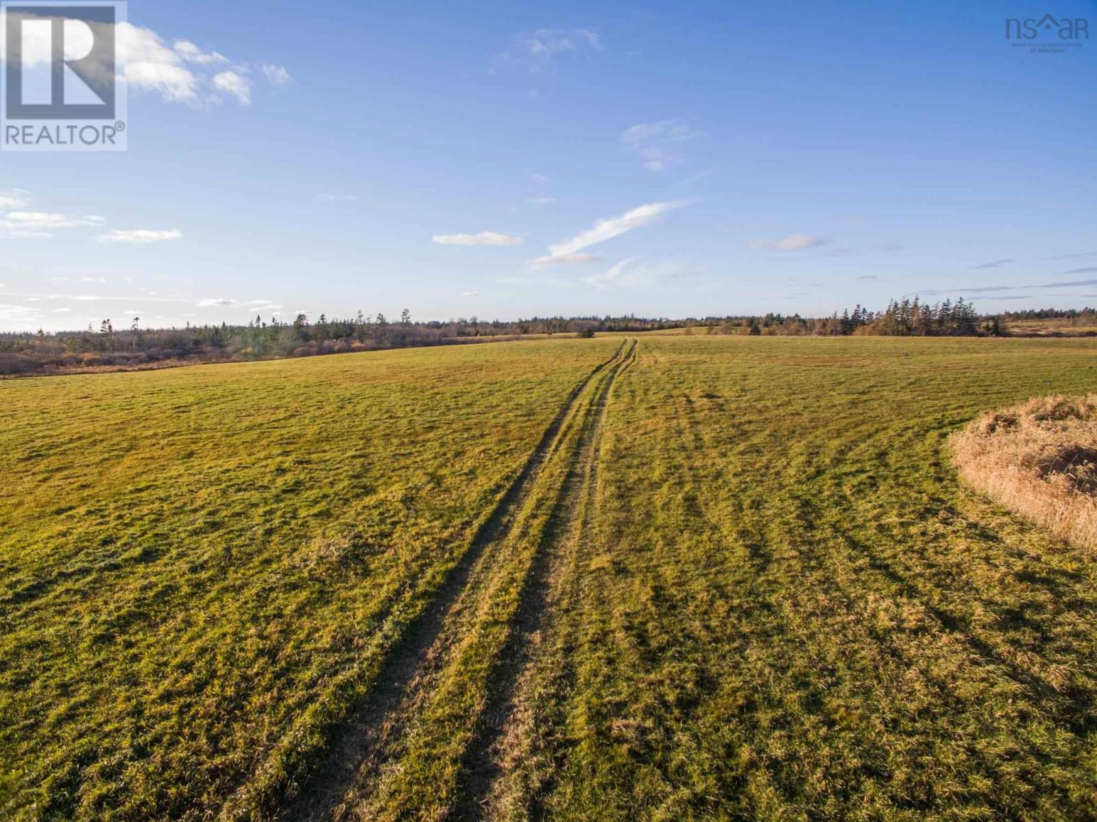Ellis Road, Central Chebogue, Nova Scotia  B5A 5G1 - Photo 11 - 202508637