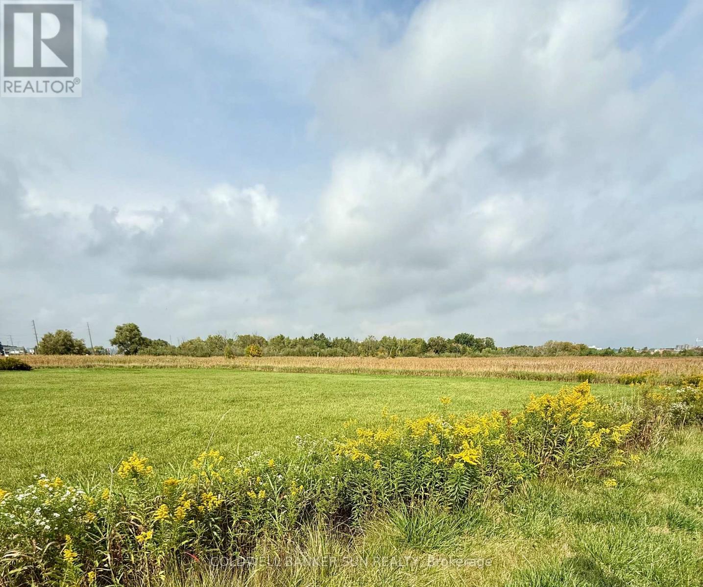12125 & 12131 Highway 48, Whitchurch-Stouffville, Ontario  L4A 3W2 - Photo 3 - N12480863