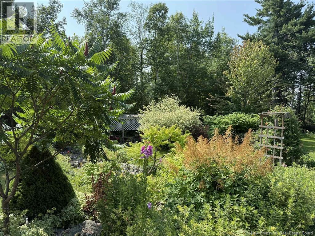 457 Rennie Road, Miramichi, New Brunswick  E1V 5Z6 - Photo 43 - NB123003